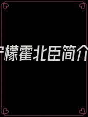 宁檬霍北臣简介