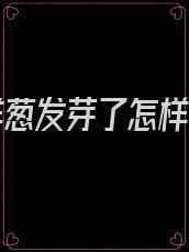 家里洋葱发芽了怎样栽植