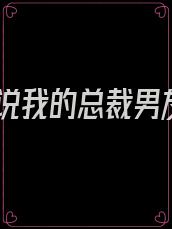 小说我的总裁男友