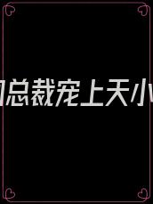 帝国总裁宠上天小说