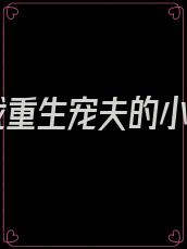 总裁重生宠夫的小说