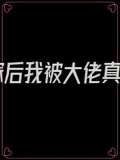 替嫁后我被大佬真相