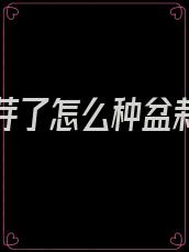 洋葱发芽了怎么种盆栽能开花