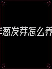 洋葱发芽怎么养
