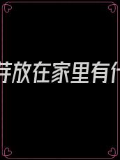 洋葱发芽放在家里有什么好处