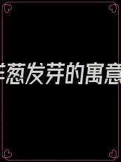 洋葱发芽的寓意