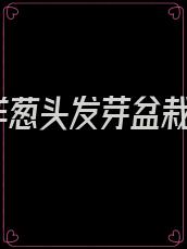 洋葱头发芽盆栽