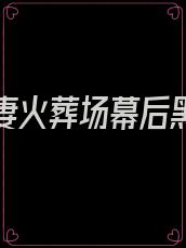 渣总追妻火葬场幕后黑手是谁