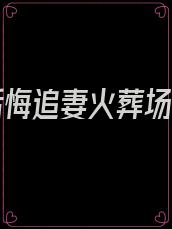 渣男后悔追妻火葬场短篇