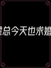 霍总今天也求婚