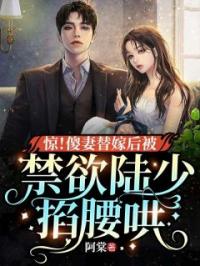 《惊！傻妻替嫁后被禁欲陆少掐腰哄》小说全集免费在线阅读（宋暖意陆肆寒）