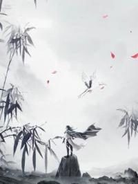 第一权臣萧九萧九小月小说全部章节目录